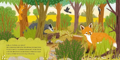 Buchcover und Innenansicht für das Buch: Kennst du mich? Ich bin ein Fuchs!