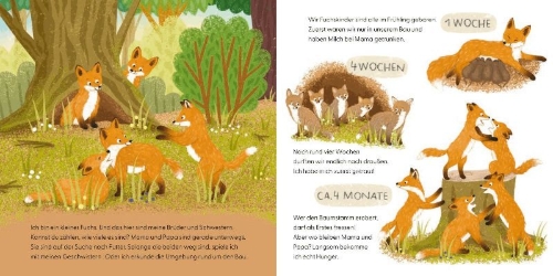 Buchcover und Innenansicht für das Buch: Kennst du mich? Ich bin ein Fuchs!
