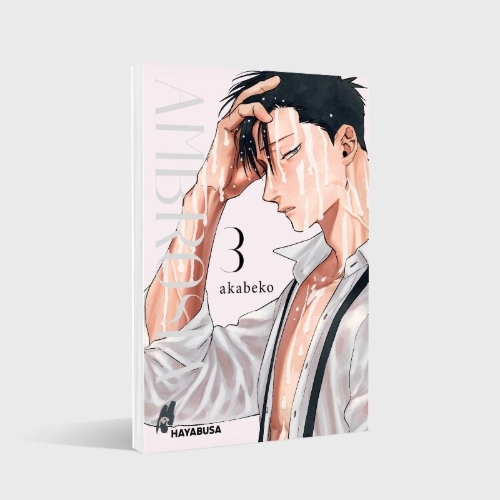 Buchcover und Innenansicht für das Buch: Mitsuka