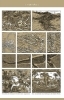 Buchcover und Innenansicht für das Buch: Beta ...civilisations. Teil 1