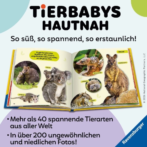 Buchcover und Innenansicht für das Buch: National Geographic Little Kids First Big Book of Baby Animals