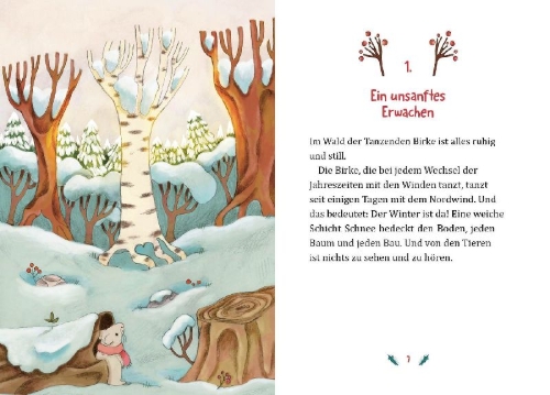 Buchcover und Innenansicht für das Buch: Detective delle Stagioni - Chi è sparito nella neve?