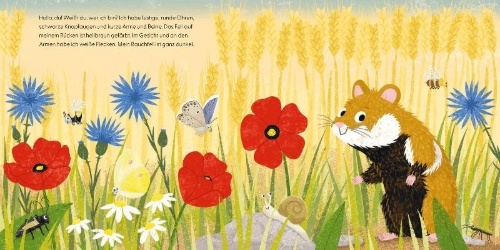Buchcover und Innenansicht für das Buch: Kennst du mich? Ich bin ein Hamster!