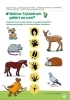 Buchcover und Innenansicht für das Buch: Frag doch mal ... die Maus: Mein Rätselblock mit der Maus- Wilde Tiere