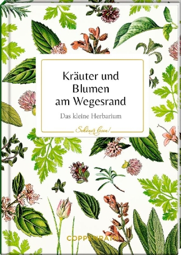 Buchcover und Innenansicht für das Buch: Kräuter und Blumen am Wegesrand