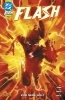 Buchcover und Innenansicht für das Buch: Absolute Flash #1-#6