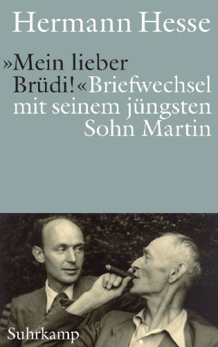 Buchcover und Innenansicht für das Buch: 'Mein lieber Brüdi!'