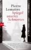 Buchcover und Innenansicht für das Buch: Miroir de nos peines