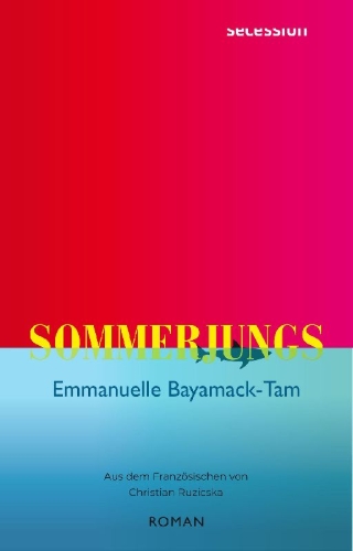 Buchcover und Innenansicht für das Buch: Les Garçons de l'été