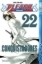 Buchcover und Innenansicht für das Buch: Bleach 22