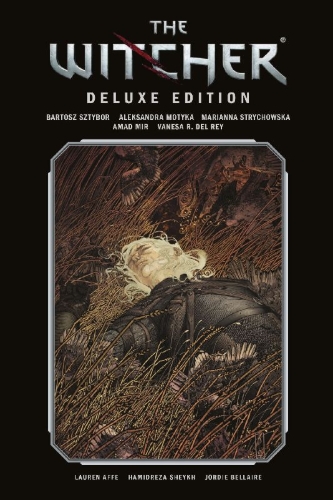 Buchcover und Innenansicht für das Buch: The Witcher: of Flesh and Flame