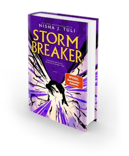 Buchcover und Innenansicht für das Buch: Stormbreaker