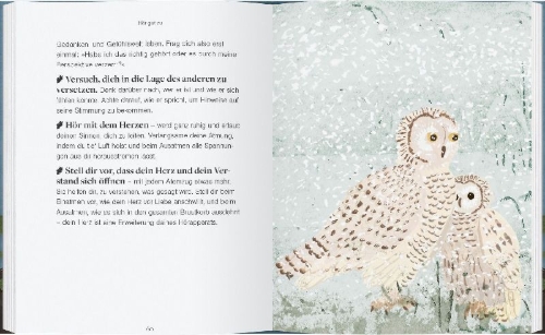 Buchcover und Innenansicht für das Buch: Be more owl