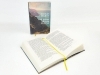 Buchcover und Innenansicht für das Buch: (The Pursuit of) The Well-Beloved
