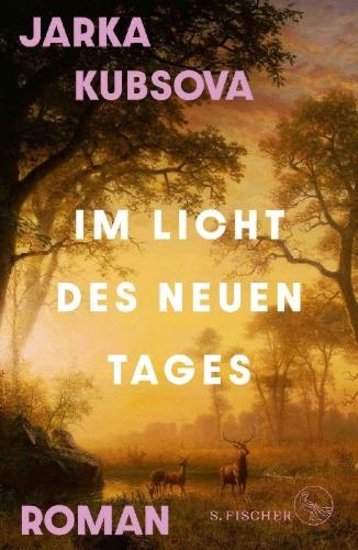 Buchcover und Innenansicht für das Buch: Im Licht des neuen Tages