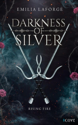 Buchcover und Innenansicht für das Buch: Darkness of Silver 2: Rising Fire