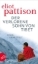 Buchcover und Innenansicht für das Buch: Der verlorene Sohn von Tibet
