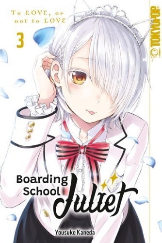 Buchcover und Innenansicht für das Buch: Boarding School Juliet 03