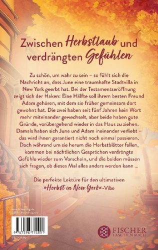 Buchcover und Innenansicht für das Buch: It's Different This Time