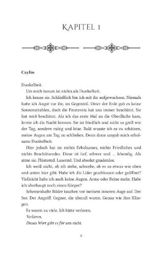 Buchcover und Innenansicht für das Buch: Darkness of Silver 2: Rising Fire