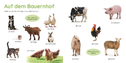 Buchcover und Innenansicht für das Buch: Erstes Lernen Puzzlebuch. Tiere