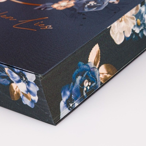 Buchcover und Innenansicht für das Buch: Marigold Manor 1: Hidden Lies