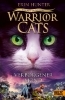 Buchcover und Innenansicht für das Buch: Warriors. IX, 1. Changing Skies. Hidden Moon