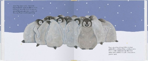 Buchcover und Innenansicht für das Buch: Kleiner Pinguin, bald bist du groß!