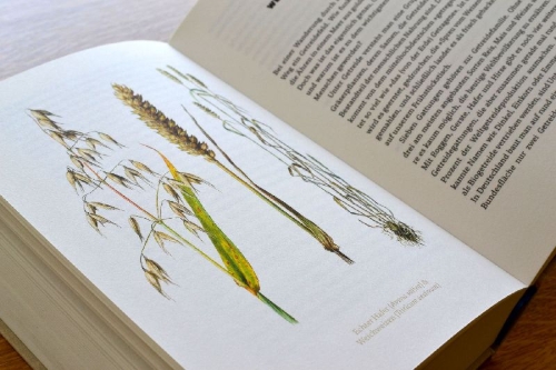 Buchcover und Innenansicht für das Buch: Mikroorgasmen überall