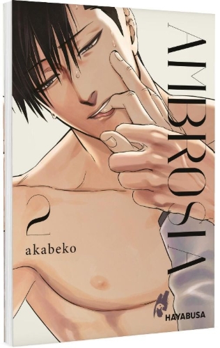 Buchcover und Innenansicht für das Buch: Mitsuka