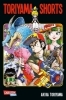 Buchcover und Innenansicht für das Buch: Toriyama Shorts Massiv