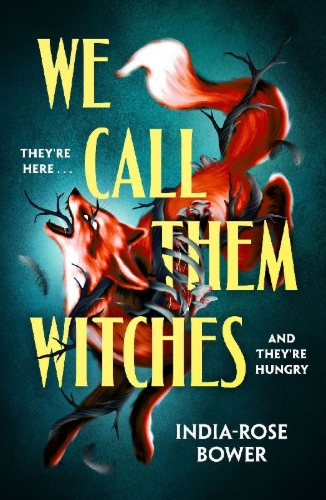Buchcover und Innenansicht für das Buch: We Call Them Witches