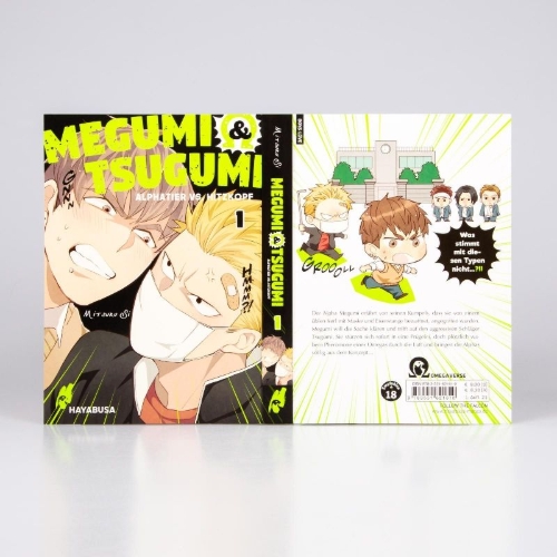 Buchcover und Innenansicht für das Buch: Megumi to Tsugumi
