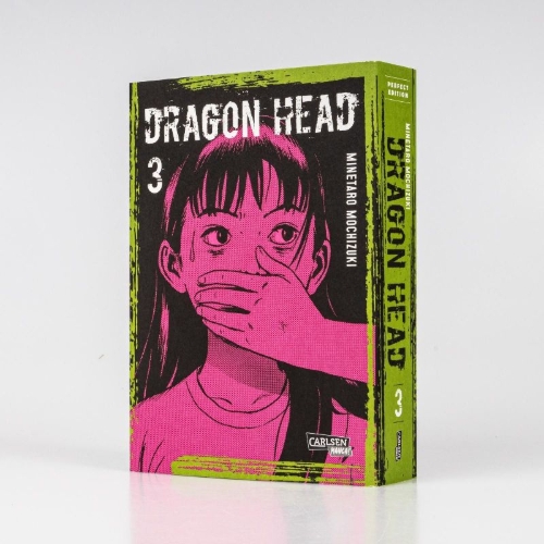 Buchcover und Innenansicht für das Buch: Dragon Head