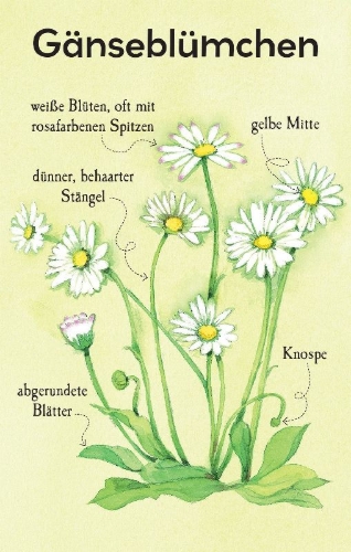 Buchcover und Innenansicht für das Buch: Natur-Entdecker-Karten: Unsere heimischen Blumen