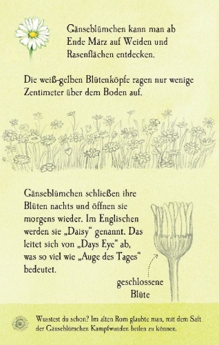 Buchcover und Innenansicht für das Buch: Natur-Entdecker-Karten: Unsere heimischen Blumen