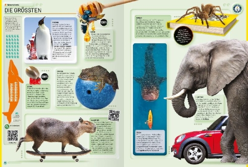 Buchcover und Innenansicht für das Buch: Guinness World Records 2026