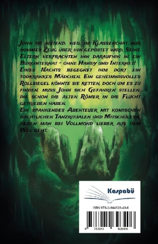 Buchcover und Innenansicht für das Buch: Die Jagd nach dem geheimnisvollen Rollsiegel - Jugendbuch ab 12 Jahre
