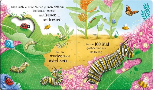Buchcover und Innenansicht für das Buch: Schau mal, wie ich wachse! Von der Raupe zum Schmetterling