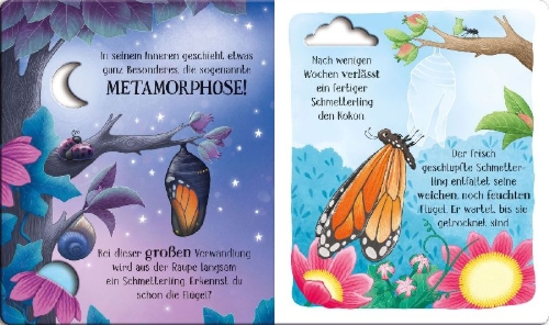 Buchcover und Innenansicht für das Buch: Schau mal, wie ich wachse! Von der Raupe zum Schmetterling