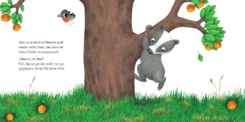 Buchcover und Innenansicht für das Buch: "Ich hab ein großes Aua", sagt der kleine Dachs (Trost-Buch)