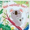 Buchcover und Innenansicht für das Buch: Which Ears?