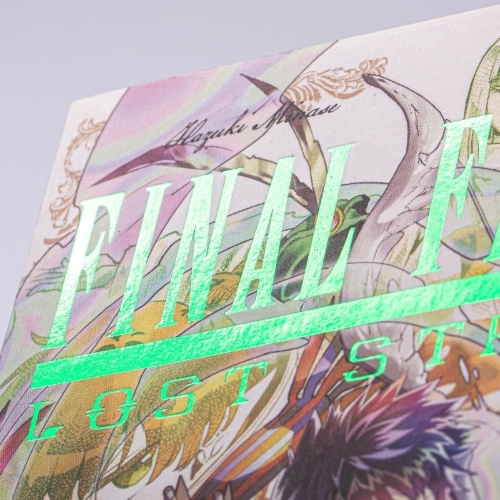 Buchcover und Innenansicht für das Buch: Final Fantasy Lost Stranger