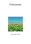 Buchcover und Innenansicht für das Buch: Primavera