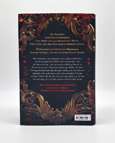 Buchcover und Innenansicht für das Buch: Heir of Illusion