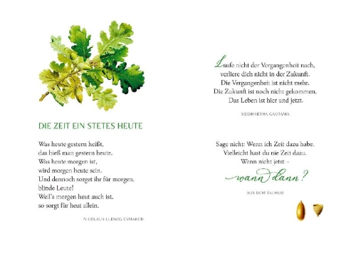 Buchcover und Innenansicht für das Buch: In der Ruhe liegt das Glück