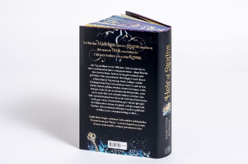 Buchcover und Innenansicht für das Buch: Heir of Storms #1 von 3