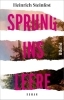 Buchcover und Innenansicht für das Buch: Sprung ins Leere