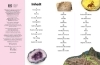 Buchcover und Innenansicht für das Buch: memo Wissen Kids. Steine und Mineralien