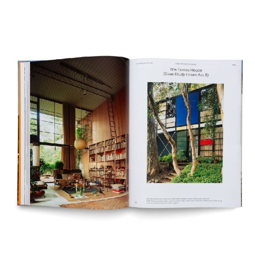 Buchcover und Innenansicht für das Buch: Modernist Icons